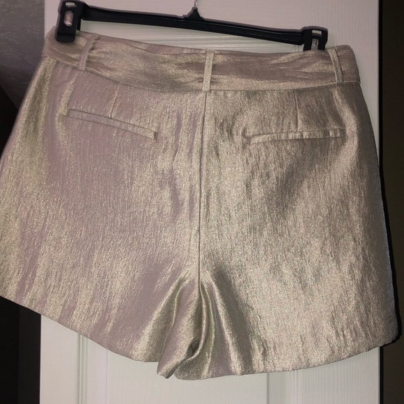 Shorts - Picture 2 of 2